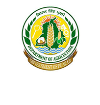 agriculture punjab