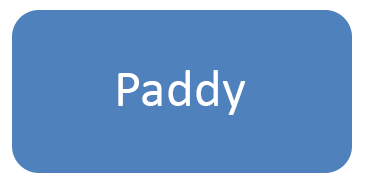 Paddy